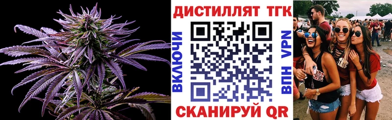где найти   блэк спрут зеркало  ТГК Wax  сайты даркнета какой сайт  Грозный 