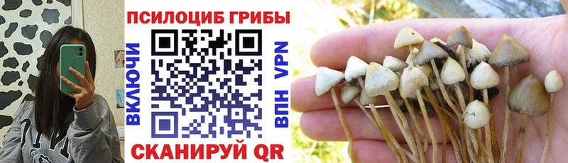 ссылка на мегу онион  Грозный  Псилоцибиновые грибы прущие грибы 