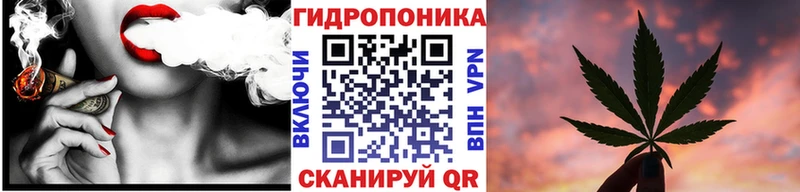 Канабис план  Грозный 